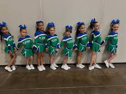 Image result for Platinum Majorettes