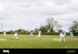 Image result for Cork County Cricket Club