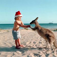 Image result for weihnachten in australien