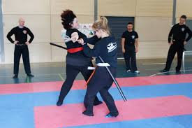 Image result for M-S-N Ninjutsu (Bujinkan) Club