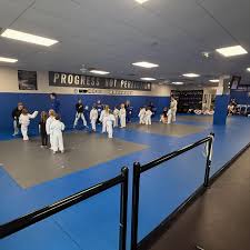 Image result for GBMAA EPSOM AND LEATHERHEAD MARTIAL ARTS ACADEMY
