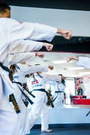 Image result for Martial Arts Karate Mesa AZ