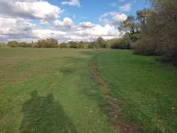 Image result for Roding Valley Cricket Club