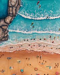 Image result for Ilfracombe Orcas Octopush Club