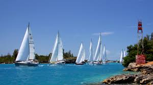 Image result for The Island Cruising Club Limited