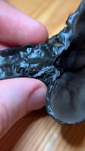 Attēlu rezultāti vaicājumam “Craterium sp.”