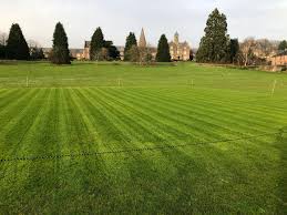 Image result for Wells Cricket Club