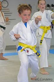 Image result for Sandokai Karate