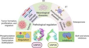 Image result for %E1%83%99%E1...tart=40