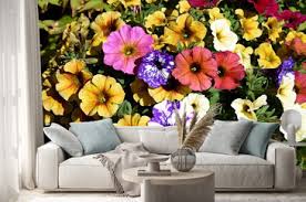 Image result for Petunie