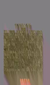 Attēlu rezultāti vaicājumam “Harpanthus flotovianus cells”