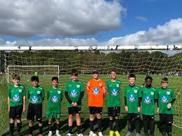 Image result for Welwyn Garden City Panshanger Football Club