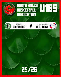 Image result for Rhyl Rhinos