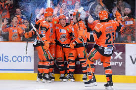 Image result for Sheffield Steelers