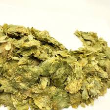 Attēlu rezultāti vaicājumam “Humulus lupulus bud”