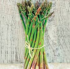 Attēlu rezultāti vaicājumam “Asparagus officinalis leaf”