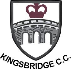 Image result for Ivybridge Cricket Club
