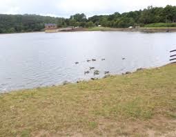 Image result for Trimpley Anglers Association
