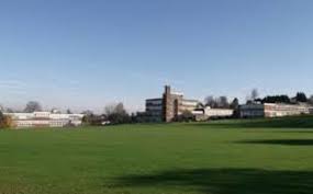 Image result for Selsdon Netball Club