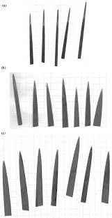 Attēlu rezultāti vaicājumam “Typha latifolia leaf”