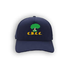 Image result for Colwyn Bay Cc