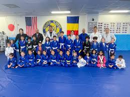 Image result for Arlington Martial Arts Academy