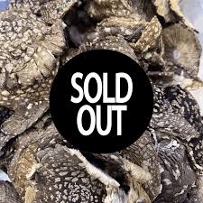 Attēlu rezultāti vaicājumam “Amanita regalis”