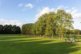 Image result for Waltham Park Bowls Club