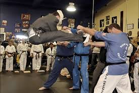 Image result for Ji Shin Do Karate