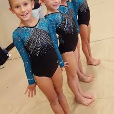 Image result for Thornton Sport Gymnastics