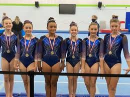 Image result for Wiltshire School Of Gymnastics