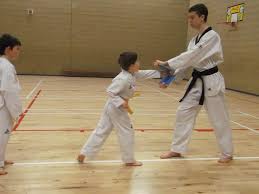 Image result for Bytomic Tae Kwon Do Chalfont St Peter