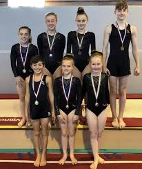 Image result for Amber Valley Gymnastics Club