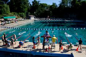 Image result for Leek Swimming Club