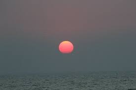 Image result for Dolphin Badminton Club