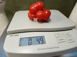 Afbeeldingsresultaat voor voyage tomato