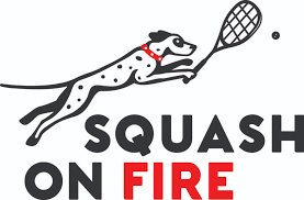 Image result for Stour Squash Club