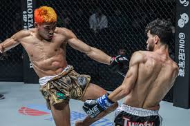 Image result for Petch Yin Dee International Muay Thai Boxing Camp