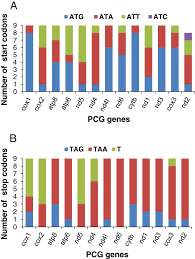 Attēlu rezultāti vaicājumam “Aleurochiton aceris nymph”