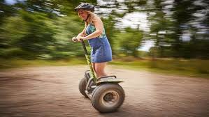 Image result for Go Ape! Moors Valley