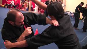 Image result for Bujinkan Dojo Seijitsu
