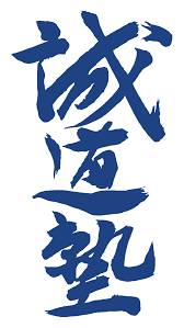 Image result for Aylesbury Vale Seido Karate