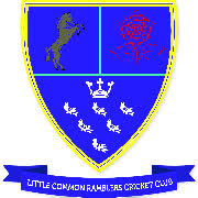 Image result for Bexhill Cricket Club