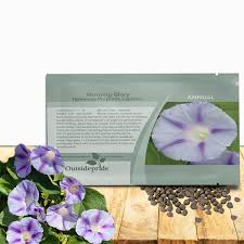 Image result for Ipomoea purpurea