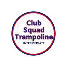 Image result for Liverpool Lizards Speedminton Club