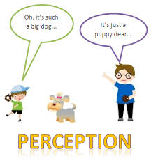 Image result for perception