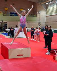 Image result for Stevenage Sports Acro Club