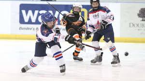 Image result for Solihull Recreational Ice Dancing Club