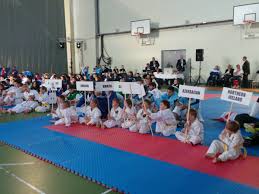 Image result for Sovereign Judo Club