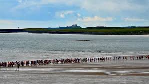 Image result for Alnwick Harriers